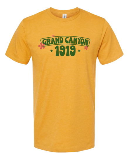Grand Canyon Retro