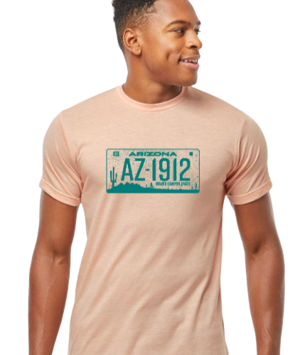 Arizona License Plate