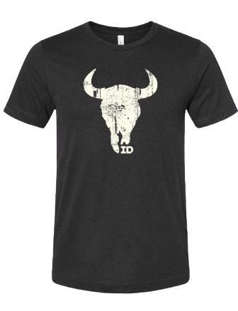 Idaho Bison Skull